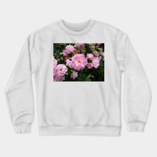 Perfect Pink Rose, photography by Immortal Peaches Crewneck Sweatshirt